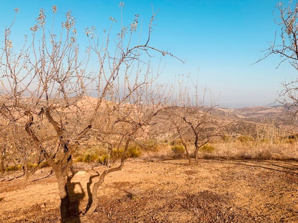 Helårsgrund i Vinuela, Malaga - foto 1